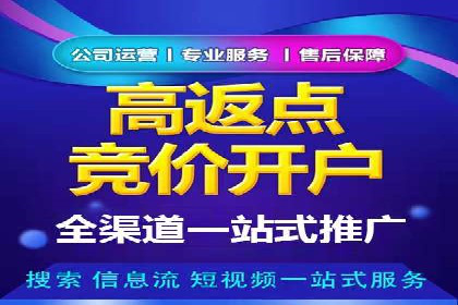 SEM竞价广告的智能优化：成功案例解读