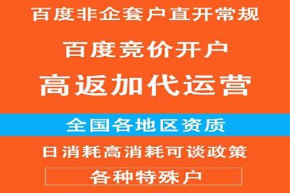 广告行业中的信息流大师：成功案例解析